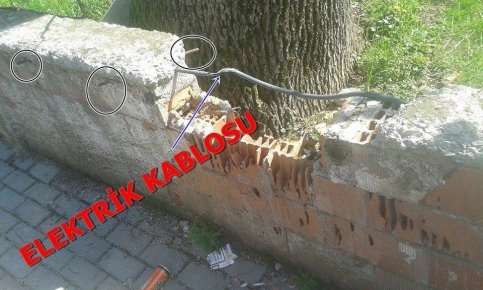 Yağcılar Cami Avlusu Tehlike Saçıyor