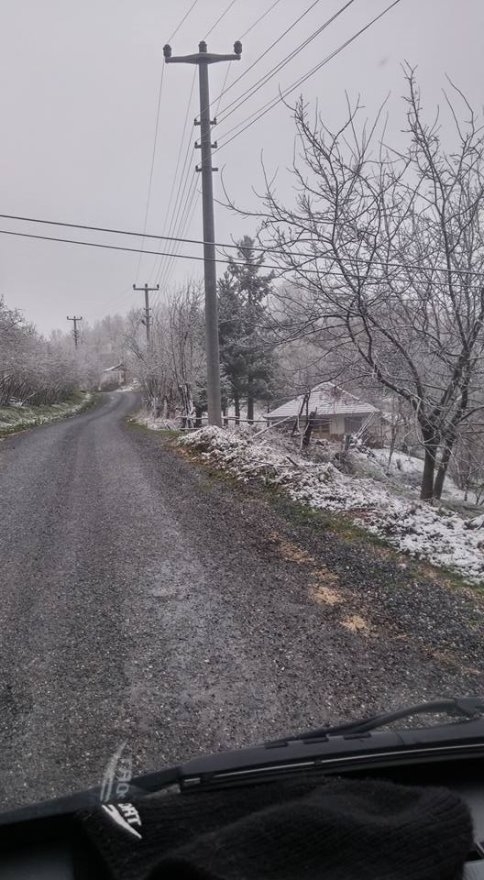 Bahar Beklerken, Kar Yağdı