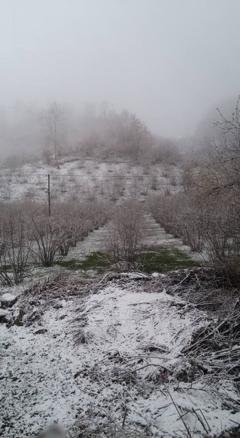 Bahar Beklerken, Kar Yağdı