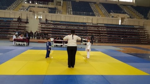 Sakarya Judo Şenliğinden Akyazı’ya 17 Madalya
