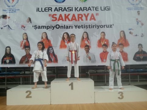 Okullar Arası Karate Şampiyonası Düzenlendi