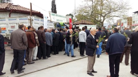 Akyazı Orman İşletme Müdürlüğü Fidan Dağıttı.