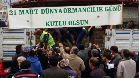 Akyazı Orman İşletme Müdürlüğü Fidan Dağıttı.