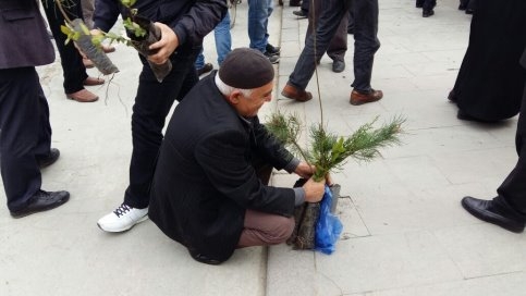 Akyazı Orman İşletme Müdürlüğü Fidan Dağıttı.