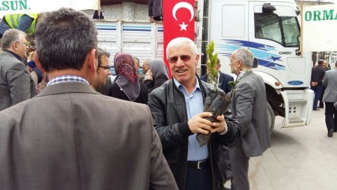 Akyazı Orman İşletme Müdürlüğü Fidan Dağıttı.