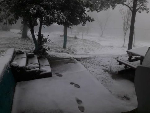 Kar Yağdı Fındıklar Tehlikeye Girdi