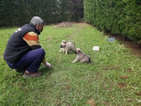 Sağlık İşleri Bahar Çalışmalarını Hızlandırdı.
