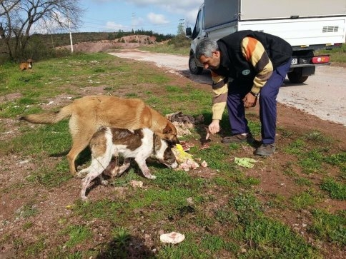 Sağlık İşleri Bahar Çalışmalarını Hızlandırdı.