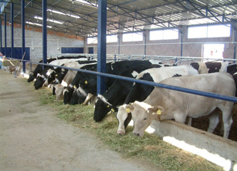 Tagep Eğitimleri Devam Ediyor
