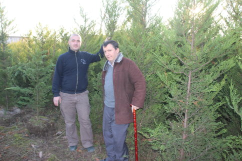 Hastane Bahçesi Ağaçlarla Güzelleşiyor