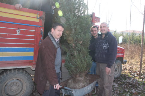 Hastane Bahçesi Ağaçlarla Güzelleşiyor