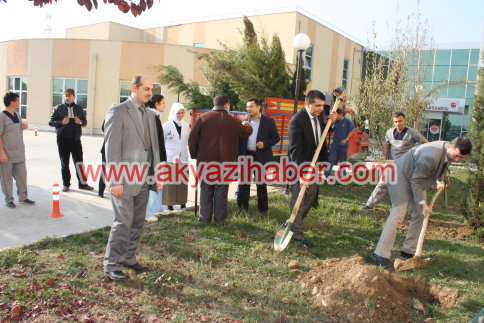 Hastane Bahçesi Ağaçlarla Güzelleşiyor
