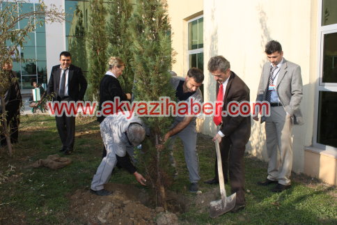 Hastane Bahçesi Ağaçlarla Güzelleşiyor