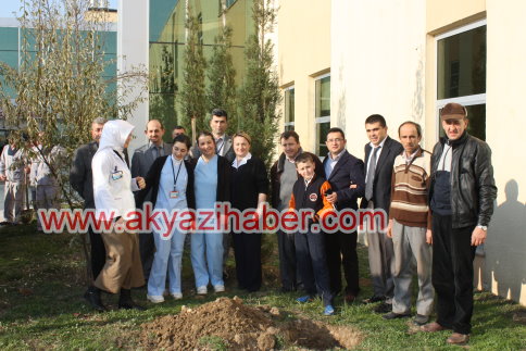 Hastane Bahçesi Ağaçlarla Güzelleşiyor