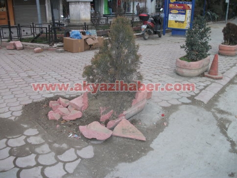 Park Etmek İçin Bariyerin Üstüne Çıktı.