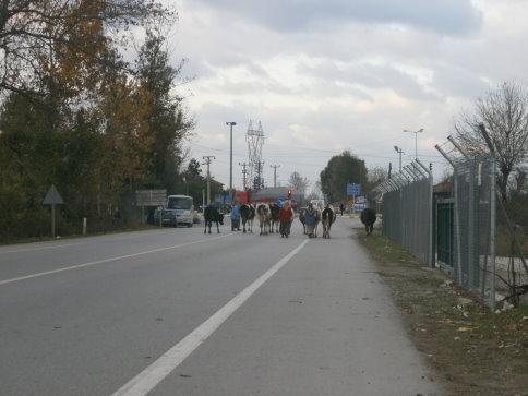 Kırmızıda Dur Yeşilde Geç