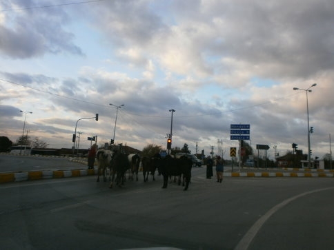 Kırmızıda Dur Yeşilde Geç