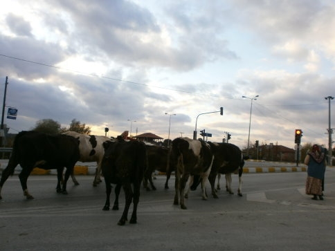 Kırmızıda Dur Yeşilde Geç