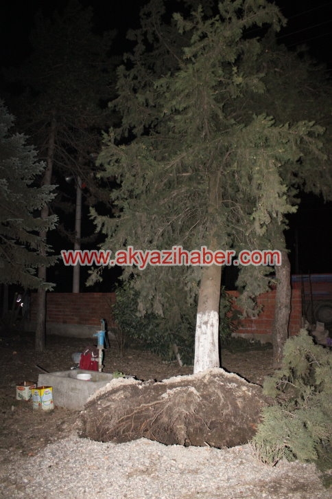 Fırtına İlçeyi Elektriksiz Bıraktı