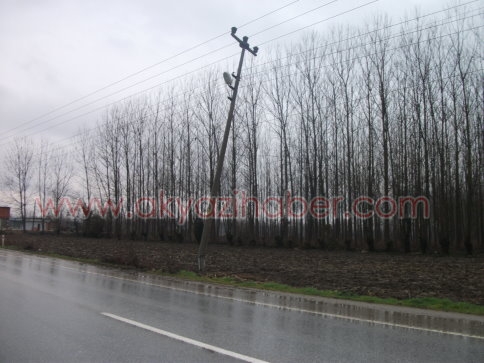 Direği teller havada tutuyor