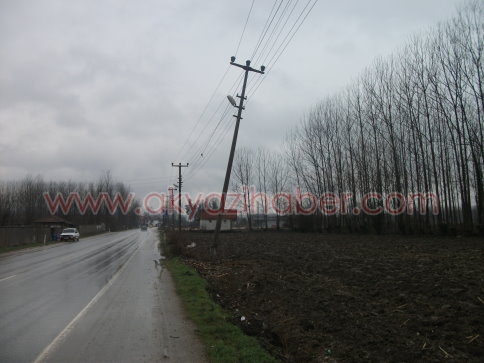 Direği teller havada tutuyor