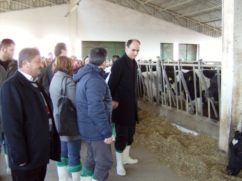 Sığır Yetiştiriciliği Kursiyerleri Gezide