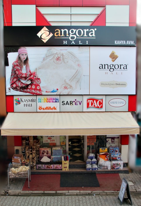 Düşlediğiniz Dokunuş 