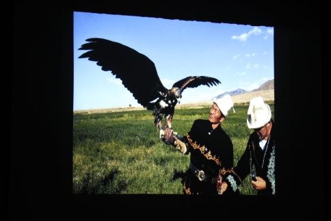 Seyrine Doyum Olmadı