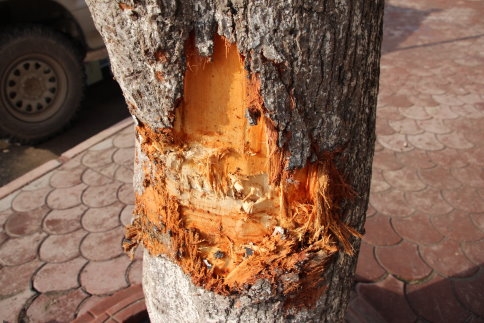 Akyazı Ada Caddesinde Kaza!