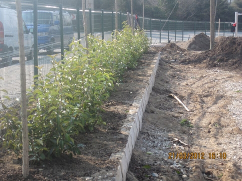 Havaların Açmasıyla Kolları sıvadılar.