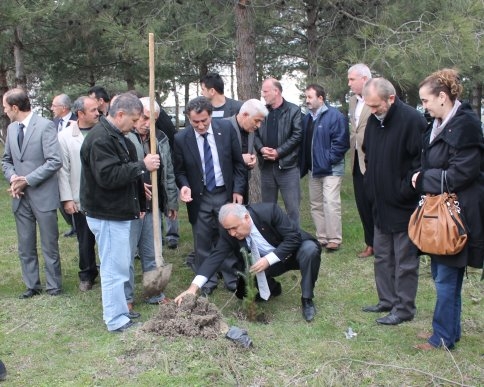 Alpaslan Türkeş Hatıra Ormanında Fidan Dikimi Yapıldı