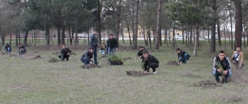 Alpaslan Türkeş Hatıra Ormanında Fidan Dikimi Yapıldı