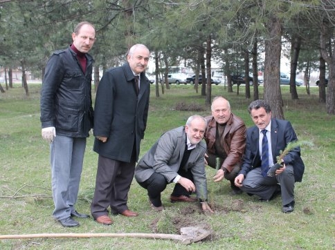 Alpaslan Türkeş Hatıra Ormanında Fidan Dikimi Yapıldı