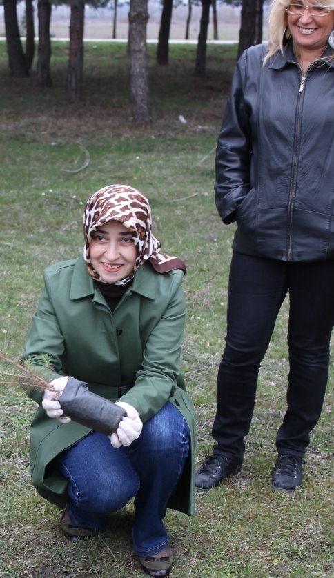 Alpaslan Türkeş Hatıra Ormanında Fidan Dikimi Yapıldı