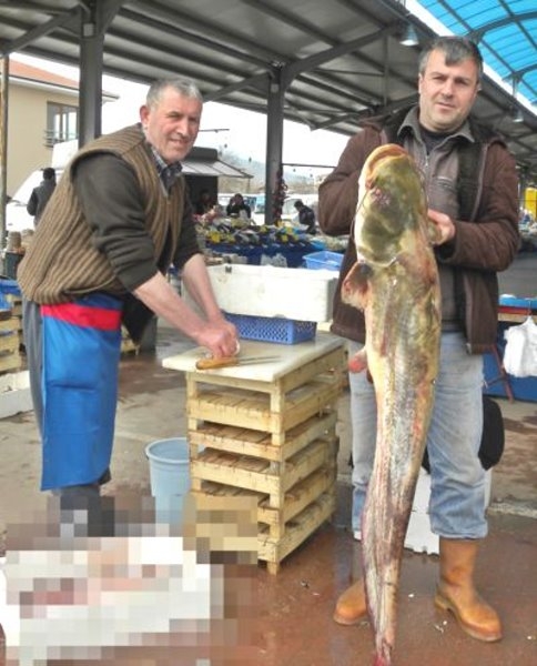 20 Kiloluk Yayın Balığı Pazarın İlgi Odağı Oldu 