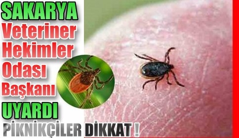 Veteriner Hekimler Odasından Kene Uyarısı 