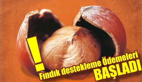 Fındık Desteği Ödemeleri Başladı