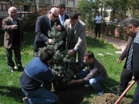 Papatya’dan Öğretmenevi Bahçesine Mavi Ladin