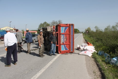 Arıyı Kovayım Derken Kamyoneti Devirdi