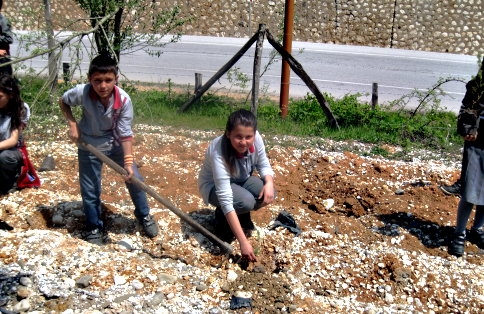 Reşadiye köyünde Fidan dikimi yapıldı