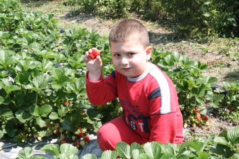 Dünya Çiftçiler Günü Akyazi'da Kutlaniyor