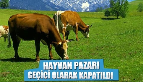 Hayvan Pazarı Geçiçi Olarak Kapatıldı.