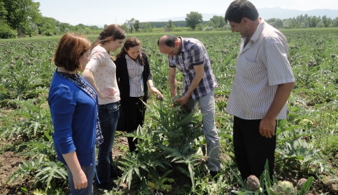 İzmir’den sonra Akyazı’da yetişiyor