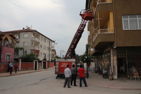 İki Ayrı Nokta da Kedi Kurtarma Operasyonu
