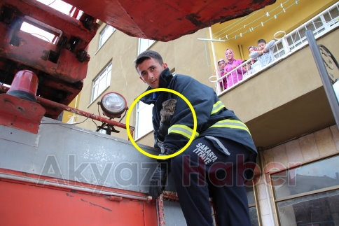 İki Ayrı Nokta da Kedi Kurtarma Operasyonu