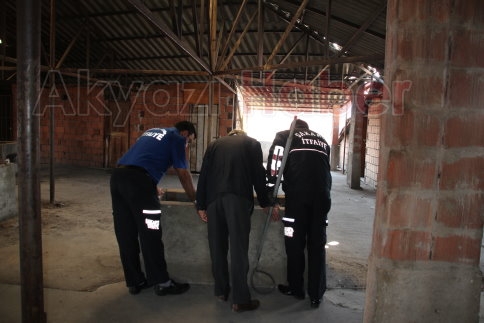 İki Ayrı Nokta da Kedi Kurtarma Operasyonu