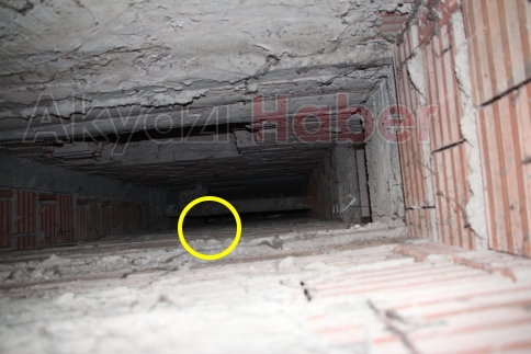 İki Ayrı Nokta da Kedi Kurtarma Operasyonu