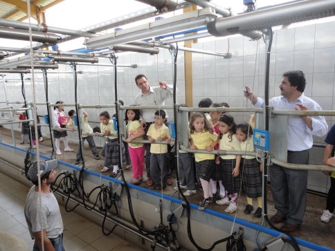 Paris İlköğretim Süt Sığırcığını Öğreniyor