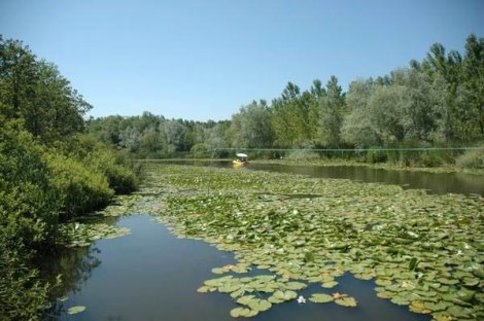 Yüzlerce Kilometre Uzaktan Görmeye Geliyorlar
