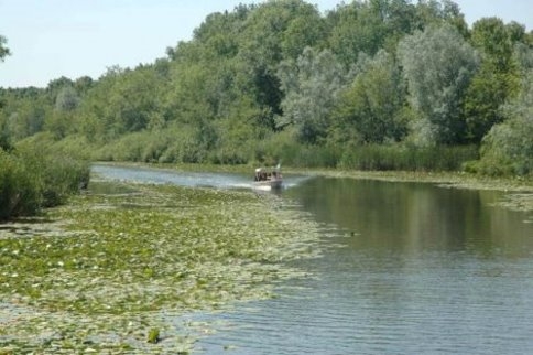 Yüzlerce Kilometre Uzaktan Görmeye Geliyorlar